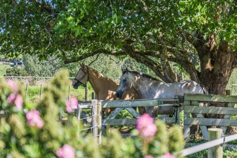 Photo of property in 42 Guy Road, Kaipara Flats, Warkworth, 0981