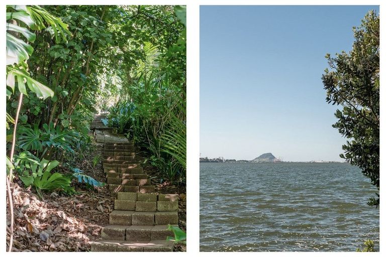 Photo of property in 236 Maungatapu Road, Maungatapu, Tauranga, 3112