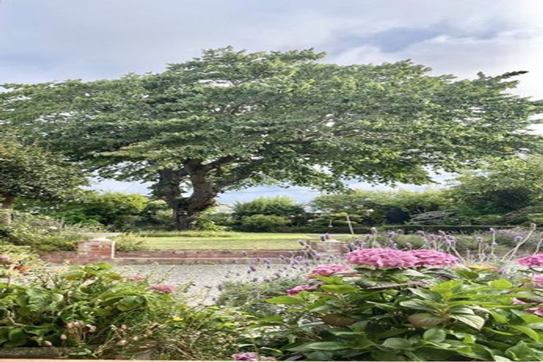 Photo of property in 4 Hillsden Place, Glenwood, Timaru, 7910