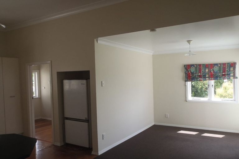 Photo of property in 31 Aitken Terrace, Kingsland, Auckland, 1021