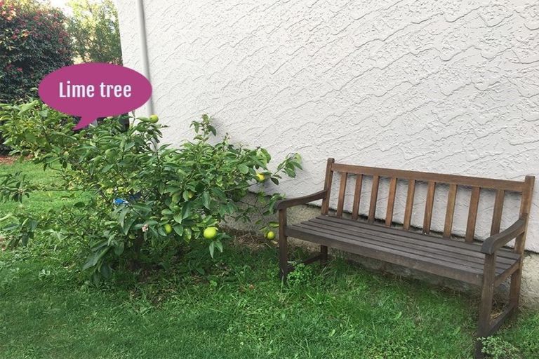 Photo of property in 21 Esperance Street, St Albans, Christchurch, 8052