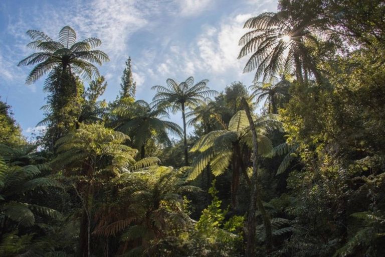 Photo of property in 1046 Work Road, Whakamarama, 3181