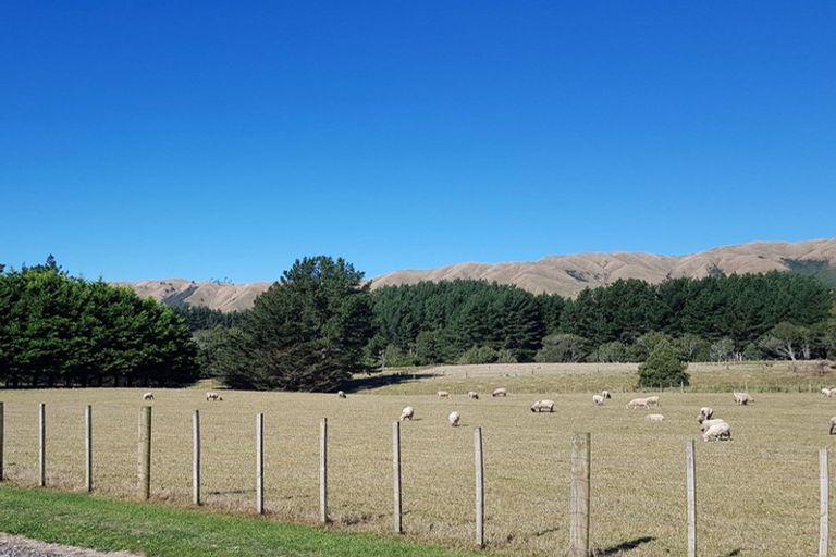Photo of property in 210 Potts Road, Koputaroa, Levin, 5571