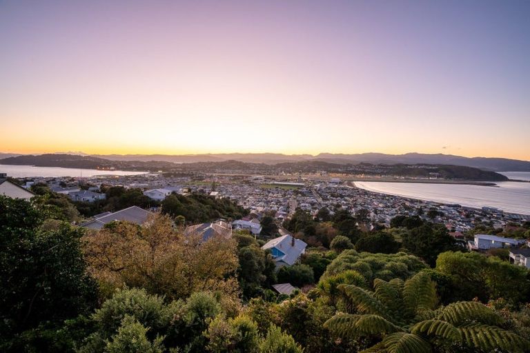 Photo of property in 17 Hornsey Road, Melrose, Wellington, 6023