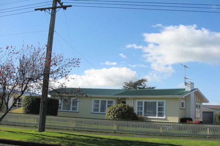 Photo of property in 41 Prouse Street, Levin, 5510