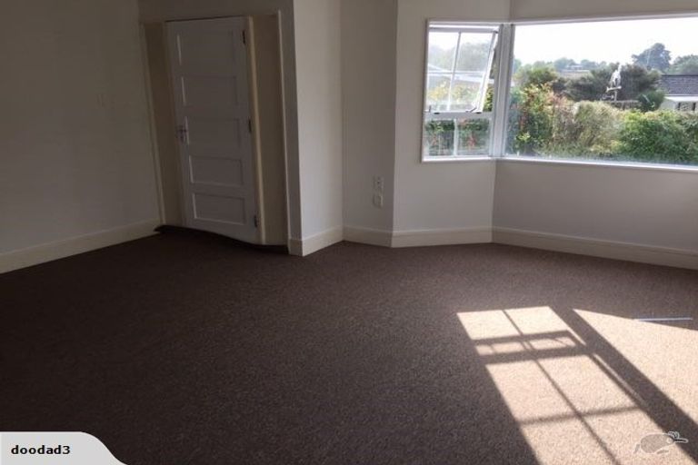 Photo of property in 21 Holt Place, Waipukurau, 4200