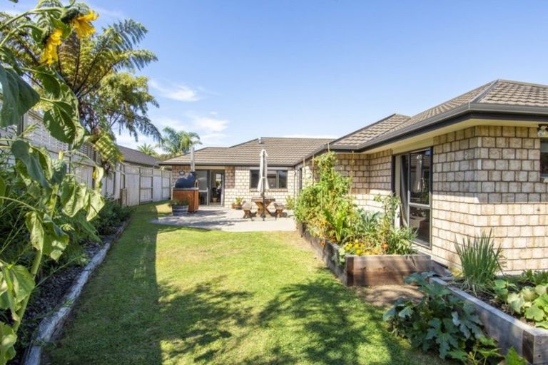 Photo of property in 176 Hollister Lane, Ohauiti, Tauranga, 3112
