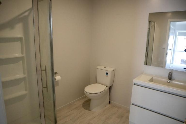 Photo of property in 3/15 Lyon Street, Frankton, Hamilton, 3204