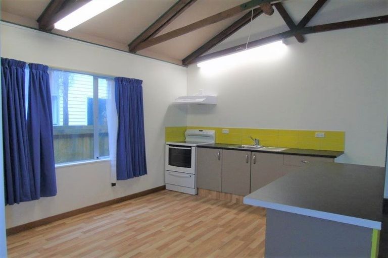 Photo of property in 305a Mansfield Street, Newtown, Wellington, 6021