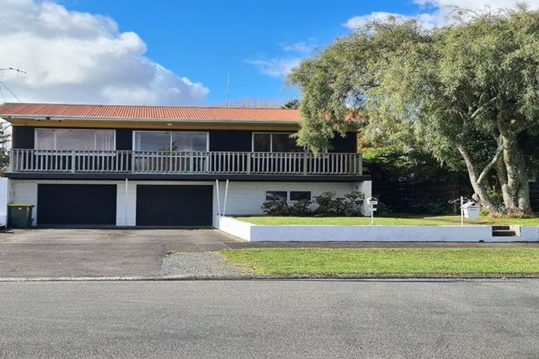 Photo of property in 133 Fitzroy Avenue, Fitzroy, Hamilton, 3206