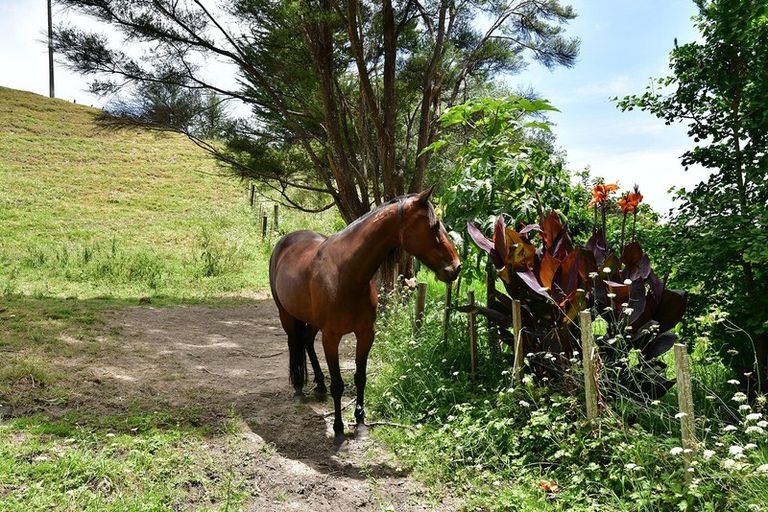 Photo of property in 1811 Kaipara Coast Highway, Kaukapakapa, Warkworth, 0984