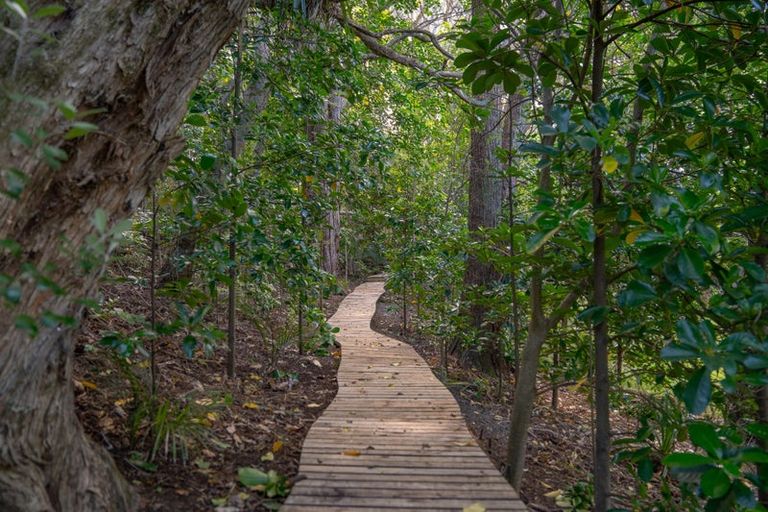 Photo of property in 657 Pukapuka Road, Pohuehue, Warkworth, 0983