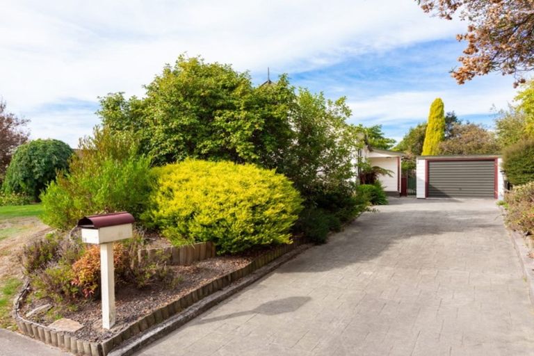 Photo of property in 21 Hillcrest Avenue, Witherlea, Blenheim, 7201