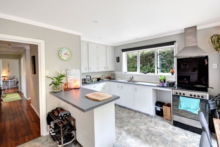 Photo of property in 89 Somerville Street, Andersons Bay, Dunedin, 9013