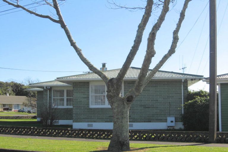 Photo of property in 18 Matai Street, Levin, 5510