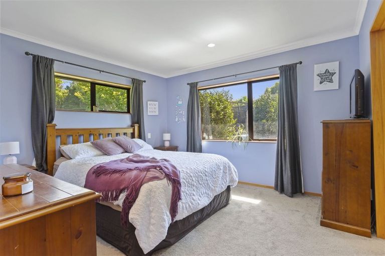 Photo of property in 19 Bunting Place, Woodend, 7610