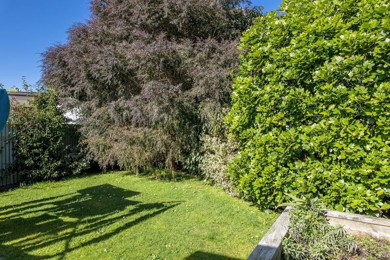 Photo of property in 5 Harlech Street, Levin, 5510