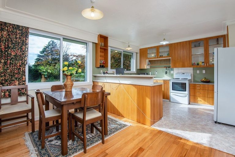 Photo of property in 33 Ettrick Street, Glenross, Dunedin, 9011