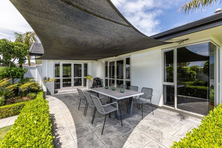 Photo of property in 19 Lochhead Street, Mahora, Hastings, 4120