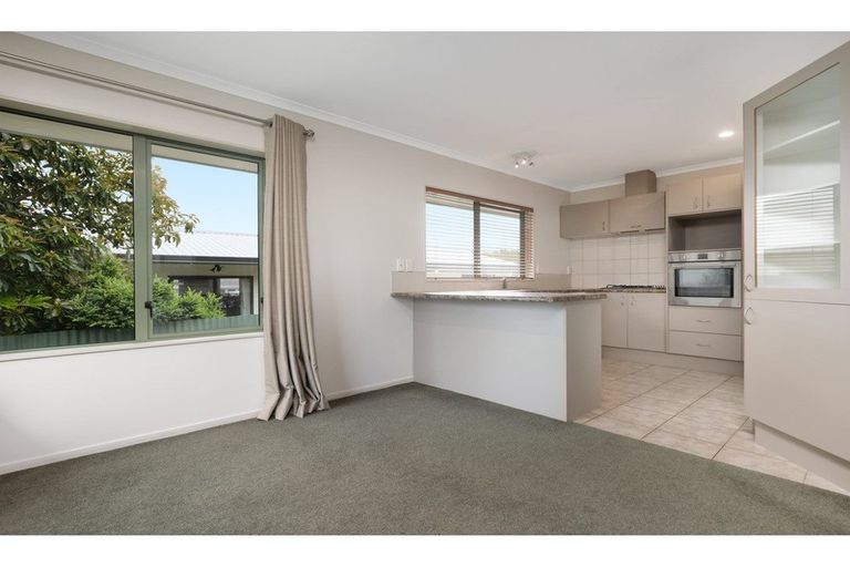 Photo of property in 16b Murray Street, Gate Pa, Tauranga, 3112