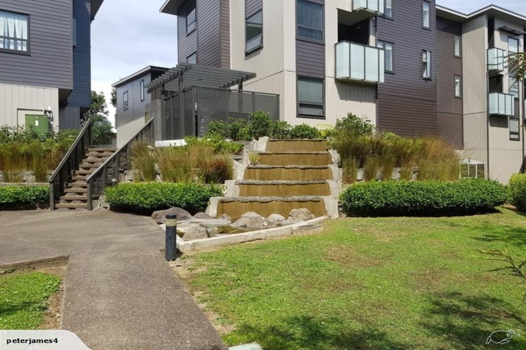 Photo of property in 56 Harold Street, Mount Eden, Auckland, 1024
