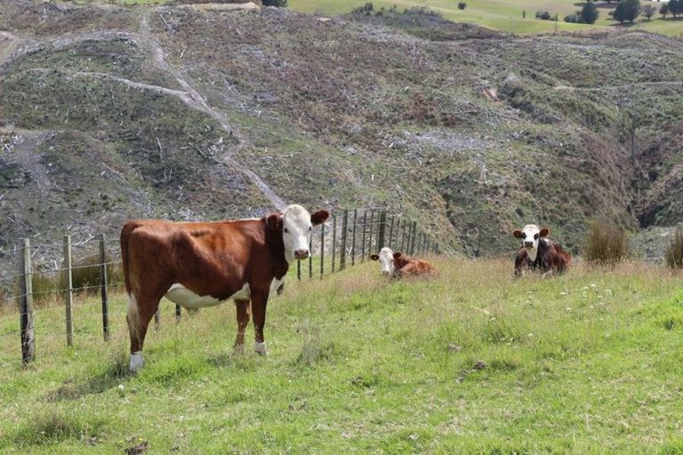 Photo of property in 113c Marua Road, Hikurangi, 0181