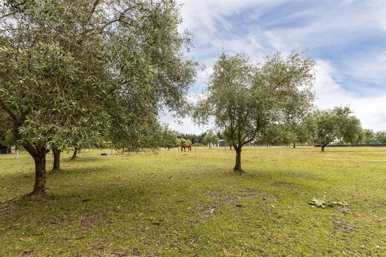 Photo of property in 84 Rarangi Road, Rarangi, Blenheim, 7273