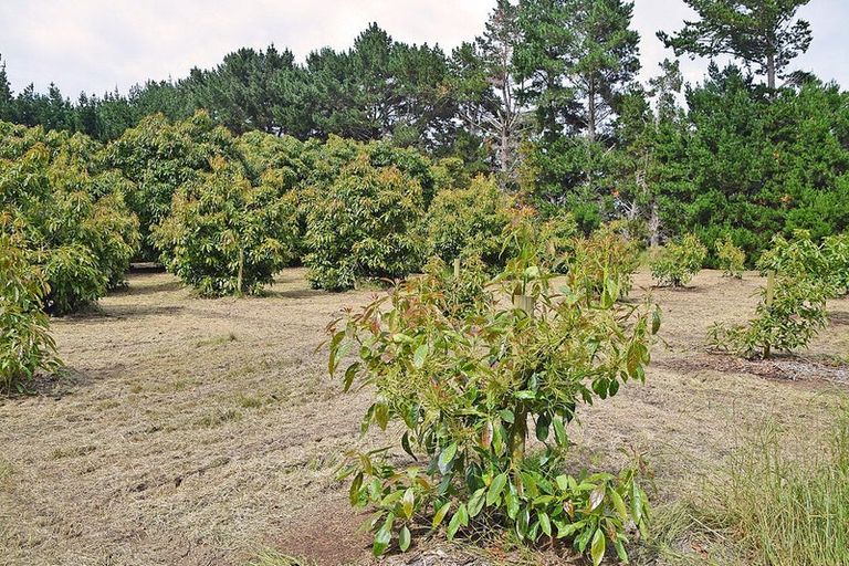 Photo of property in 1 Journeys End, Tapora, Wellsford, 0977