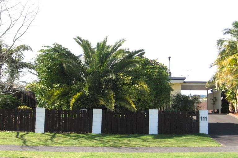 Photo of property in 111 Forrester Drive, Welcome Bay, Tauranga, 3112