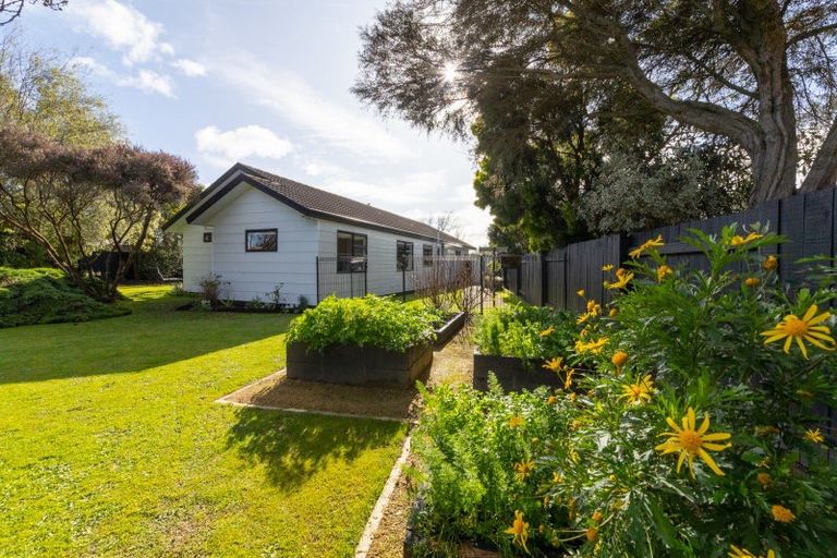 Photo of property in 9 Delta Place, Milson, Palmerston North, 4414
