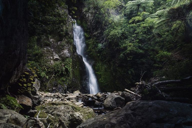 Photo of property in 2771 State Highway 1, Waipapa Bay, Kaikoura, 7371