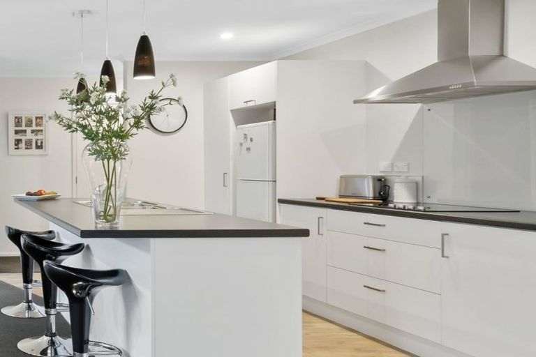 Photo of property in 58 Te Korari Street, Marshland, Christchurch, 8083