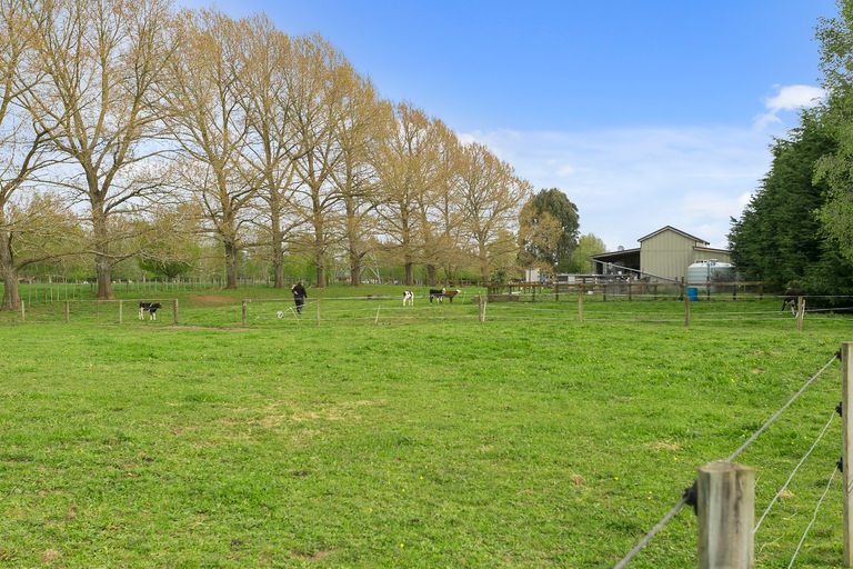 Photo of property in 231c Matangi Road, Matangi, Hamilton, 3284