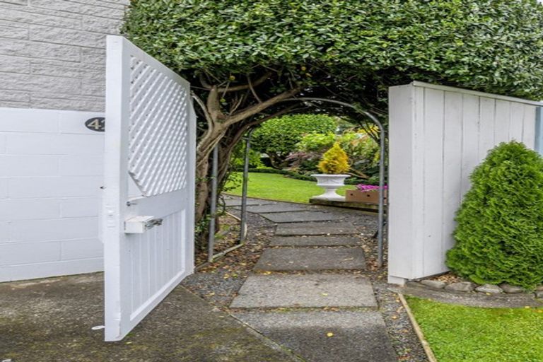 Photo of property in 42 York Street, Levin, 5510