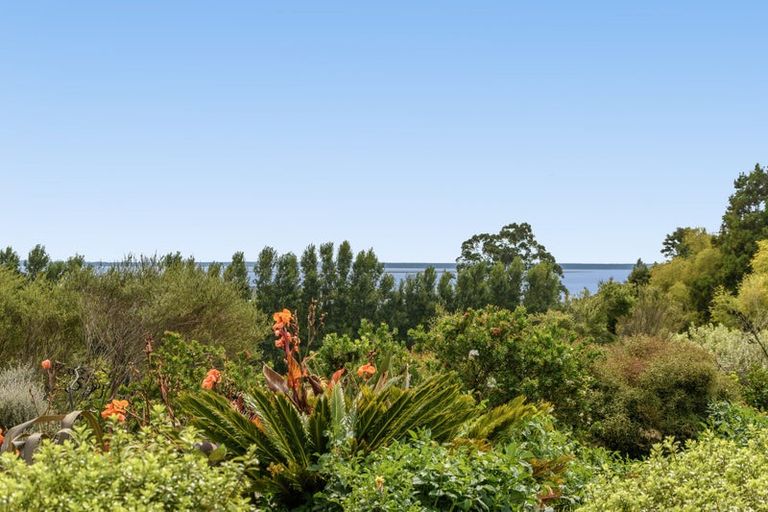 Photo of property in 101 Turntable Hill Road, Whakamarama, Katikati, 3181