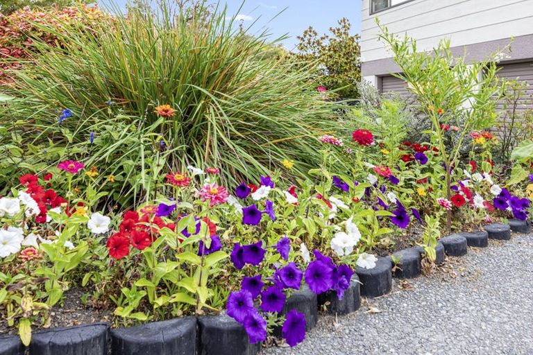 Photo of property in 81 Dunbarton Street, Redwood, Christchurch, 8051