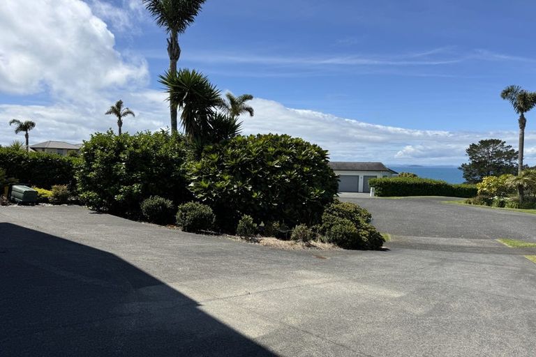 Photo of property in 12 Palm View Terrace, Gulf Harbour, Whangaparaoa, 0930