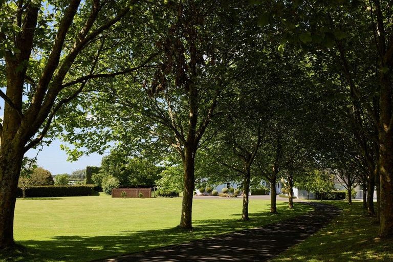 Photo of property in 866 Pyes Pa Road, Pyes Pa, Tauranga, 3173