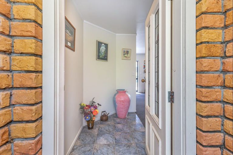 Photo of property in 223 Heatherlea East Road, Levin, 5571