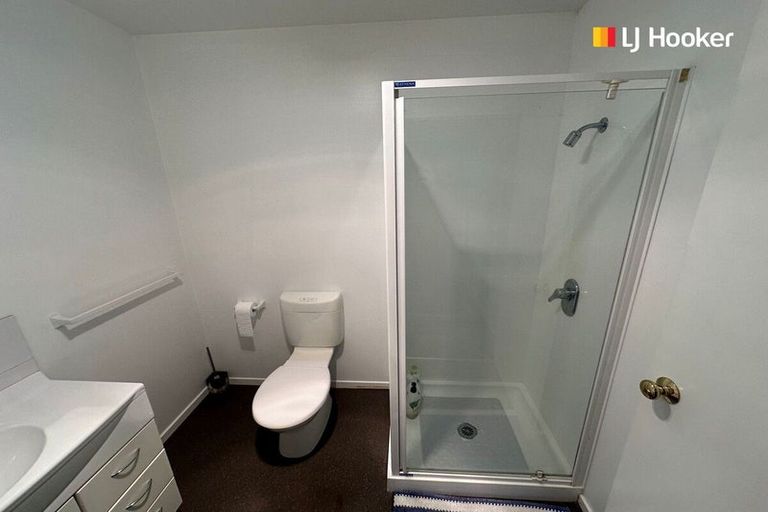 Photo of property in 213 Somerville Street, Shiel Hill, Dunedin, 9013