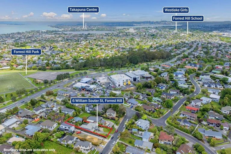 Photo of property in 6 William Souter Street, Forrest Hill, Auckland, 0620