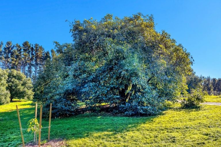 Photo of property in 252g Kauri Point Road, Tahawai, Katikati, 3170