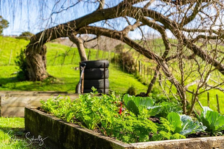 Photo of property in 53 Hurndall Street East, Maungaturoto, 0520