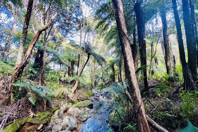 Photo of property in 600 Buffalo Road, Coromandel, 3506