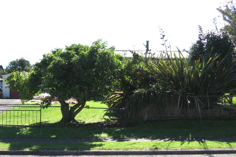 Photo of property in 15 Scotia Glen Street, Putaruru, 3411