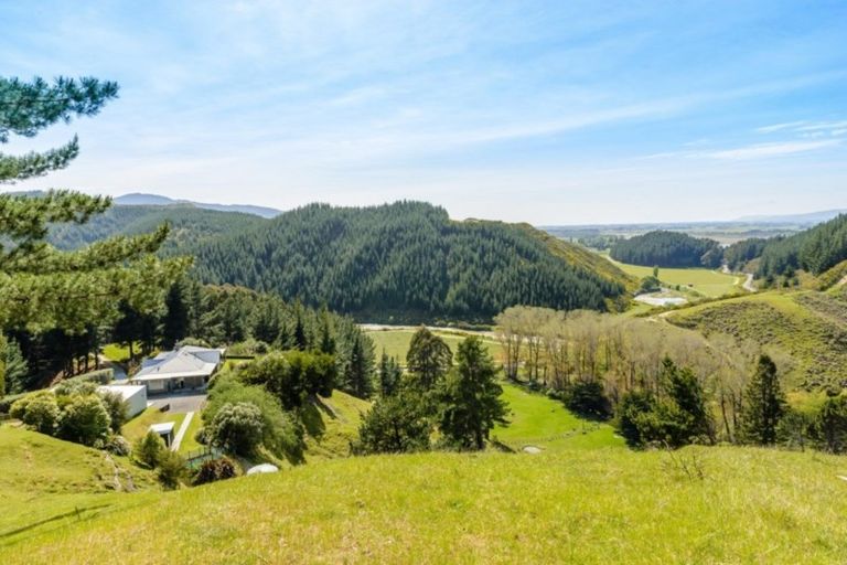 Photo of property in 131 Onamalutu Road, Onamalutu, Blenheim, 7275