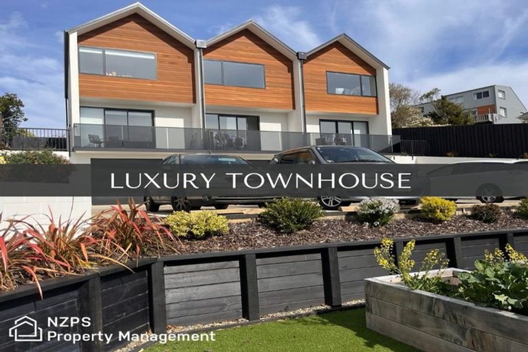 Photo of property in 45c Ann Street, Kaikorai, Dunedin, 9010