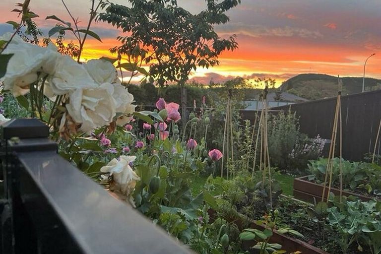 Photo of property in 6 George Fyfe Way, Wakefield, 7025