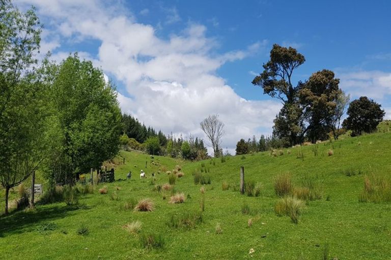 Photo of property in 29a Reg Cox Drive, Blue Spur, Hokitika, 7882