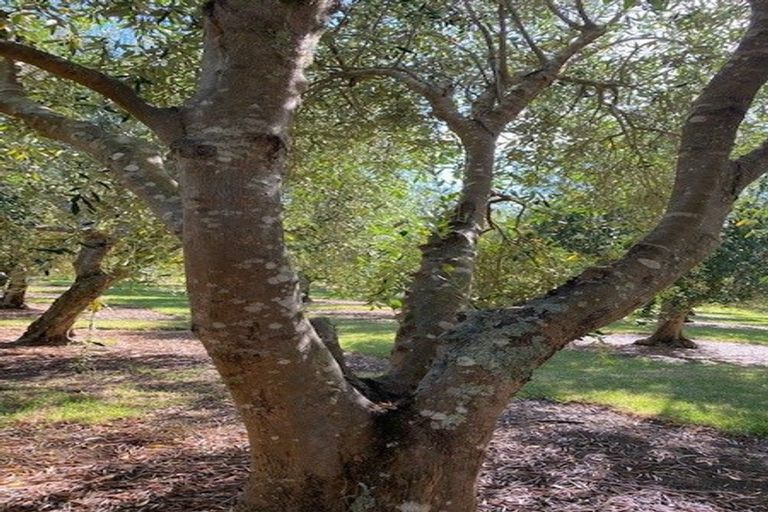 Photo of property in 478 Hihi Road, Hihi, Mangonui, 0494